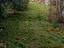 Immagine 9