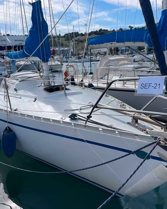 Barca a Vela natante Pierrot 9.25 Cantiere Mariver