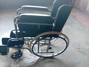 Sedia a rotelle