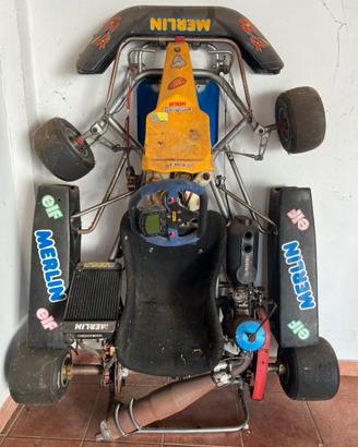 Go-Kart Merlin 100 International – Motore Atomik