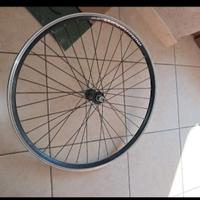 Cerchi bicicletta 