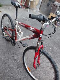 mountain bike