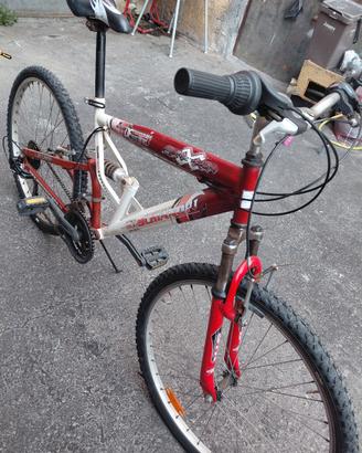 mountain bike