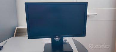 dell' monitor 19 "