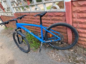 Bicicletta morris line