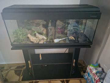 acquario grande completo  + tavolino