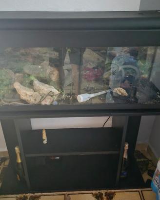 acquario grande completo  + tavolino