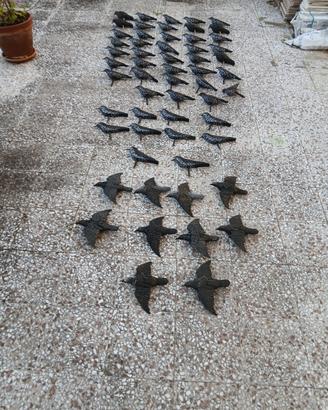 spampi in plastica di storno posato e ali aperte 