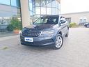 skoda-karoq-2-0-tdi-evo-scr-115-cv-dsg-executive