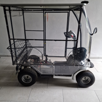 Scooter elettrico per anziani/disabili 2 posti