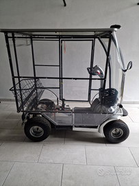 Scooter elettrico per anziani/disabili 2 posti