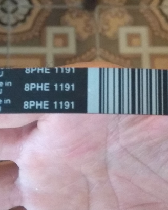 Cinghia per motore Lavatrice Indesit EWC91083