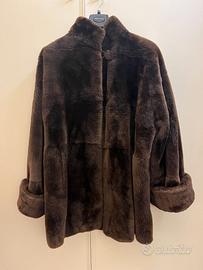 Pelliccia di castoro