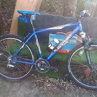 bicicletta Mountain bike 