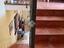 Immagine 19
