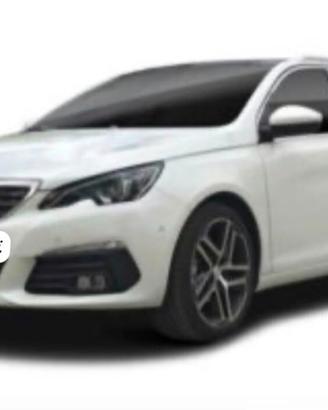 Ricambi misti Peugeot 308 Sw