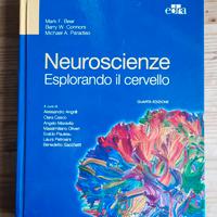 Neuroscienze, esplorando il cervello