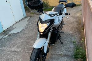 Honda CB600 Hornet 2011
