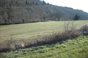 Terreno agricolo