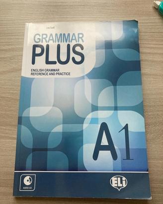 Grammar Plus A1