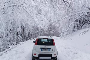Fiat Panda 4x4