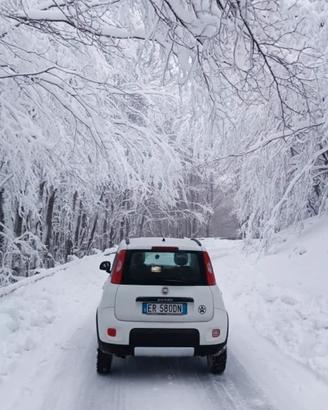 Fiat Panda 4x4