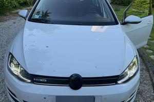 Volkswagen Golf 7 1.4 TGI Highline BlueMotion