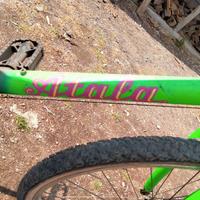 Bicicletta montebaita