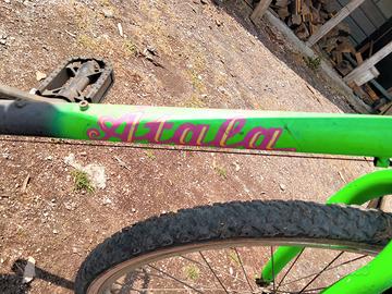 Bicicletta montebaita