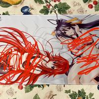 Playmat Highschool DxD