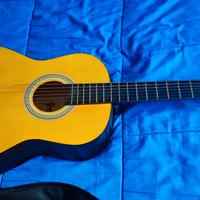 Chitarra Acustica