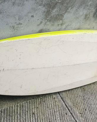 Tavola windsurf (solo tavola)