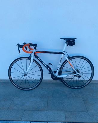 Bici da corsa Biciverde