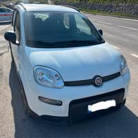 Panda city life hybrid