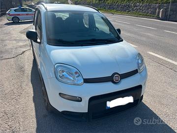 Panda city life hybrid