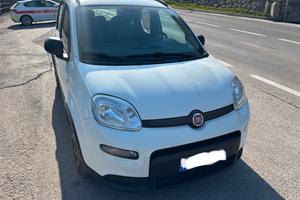 Panda city life hybrid