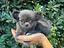 Immagine 5