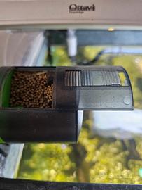 mangiatoia automatica acquario 