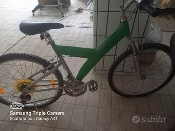 bici mountan byke vista e piaciuta