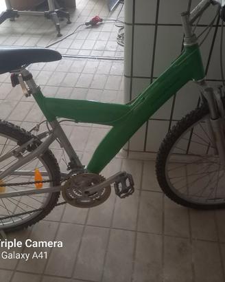 bici mountan byke vista e piaciuta