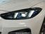 Immagine 10