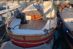 Gozzo fratelli aprea 780