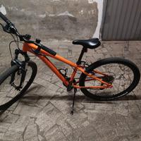 bicicletta 26