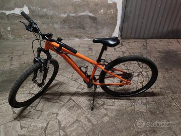 bicicletta 26