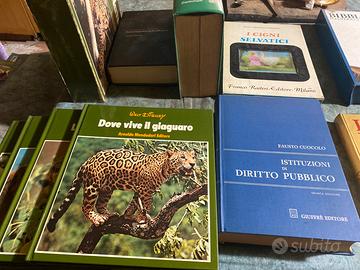 Piccolo trasportino per animali