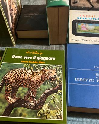 Piccolo trasportino per animali