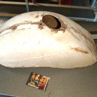 piaggio parafango vespa 50 special originale. Poss