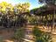 Immagine 19