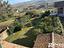Immagine 19