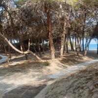 Gallipoli Rivabella sul mare